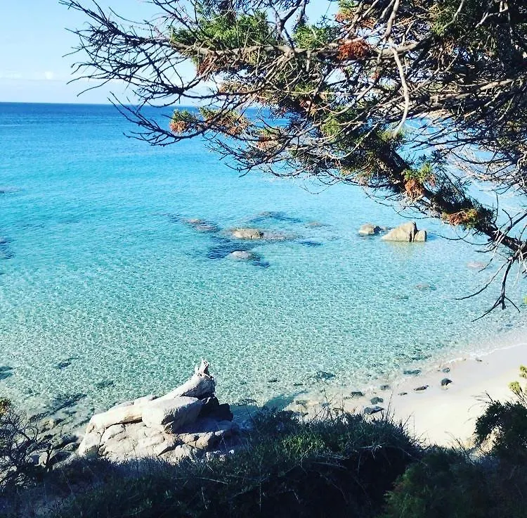 Villa Sardinia Seaview&Spapool ヴィッラシミーウス イタリア